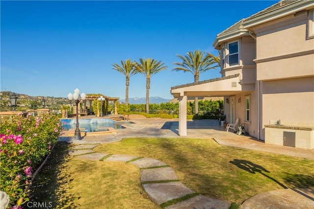 view of yard with a patio and an outdoor kitchen