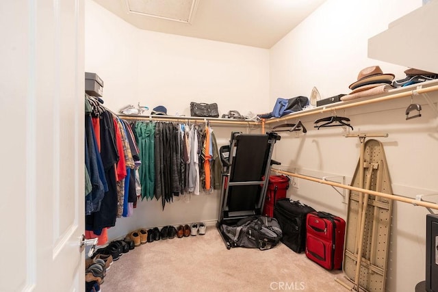 walk in closet with carpet flooring