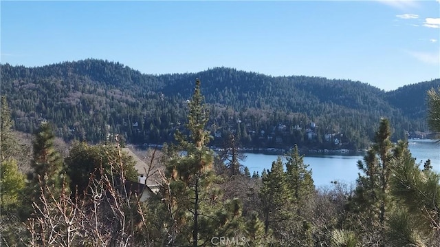 1239 Yosemite Dr, Lake Arrowhead, CA 92352 - water view featuring a forest and a mountainous background