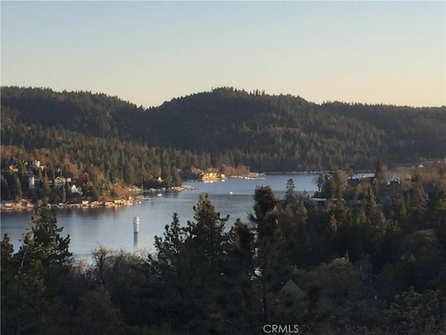1239 Yosemite Dr, Lake Arrowhead, CA 92352 - water view featuring a forest
