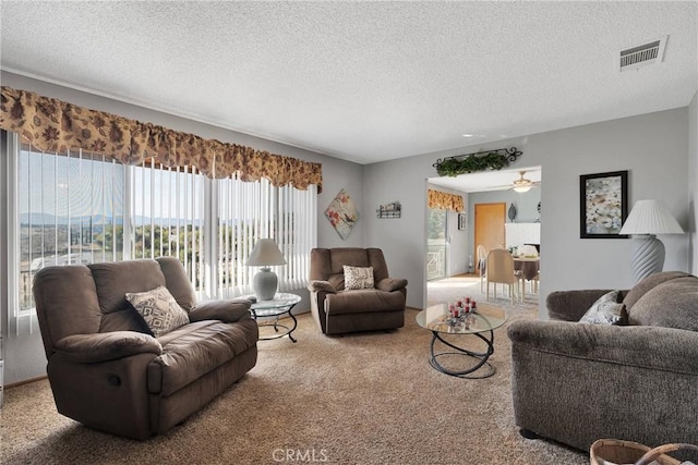 living room featuring carpet and a textured ceiling