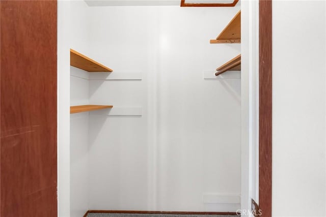 view of walk in closet