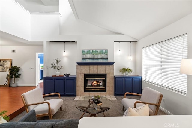 living area with a fireplace, a healthy amount of sunlight, baseboards, and light wood finished floors