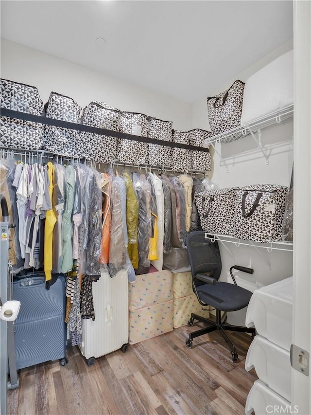 walk in closet featuring radiator heating unit and wood finished floors