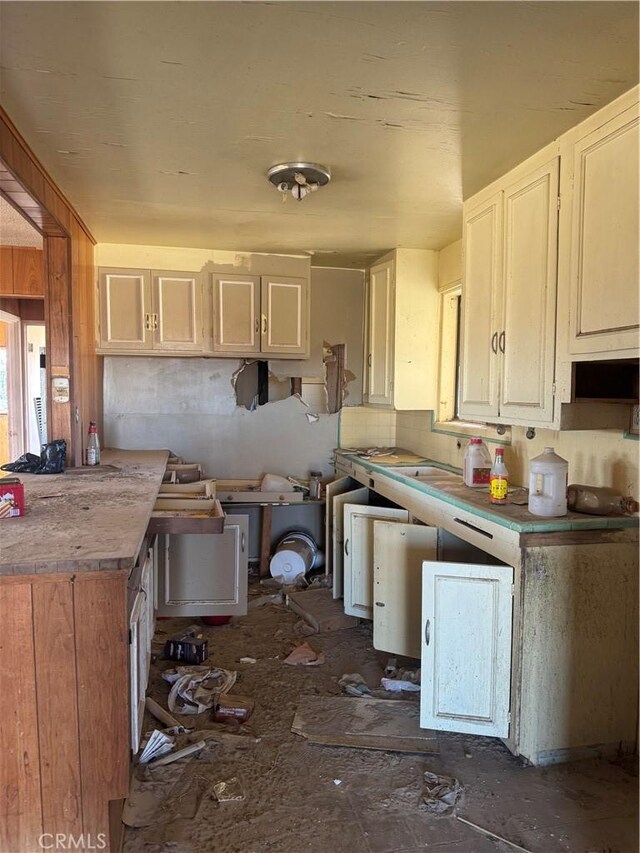 46275 Palma Vista Rd, Newberry Springs, CA 92365 - photo 5