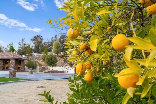 43840 E Vallejo Ave, Temecula, CA 92592 - exterior view