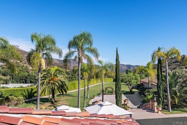 view of home's community featuring a mountain view and a yard