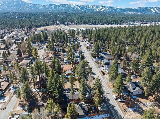 1036 Greenway Dr, Big Bear City, CA 92314 - photo 34