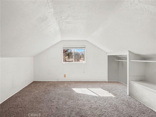 additional living space with lofted ceiling, carpet flooring, and a textured ceiling