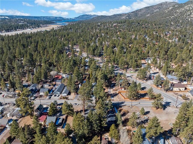1036 Greenway Dr, Big Bear City, CA 92314 - photo 33