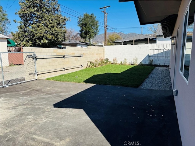 view of yard with a fenced backyard and a patio