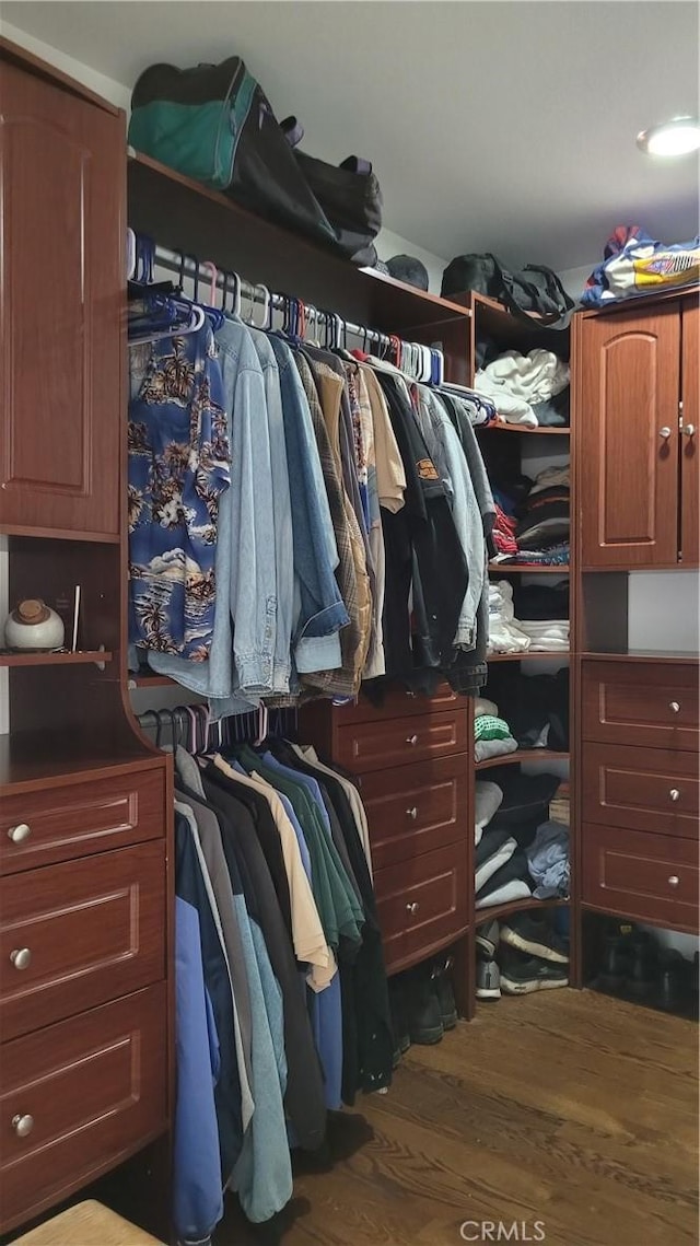 walk in closet featuring wood finished floors