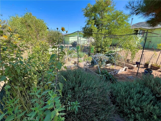 view of yard featuring a garden