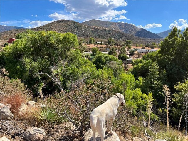 property view of mountains