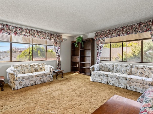 living room with carpet and a textured ceiling