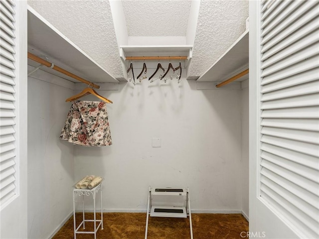 view of spacious closet