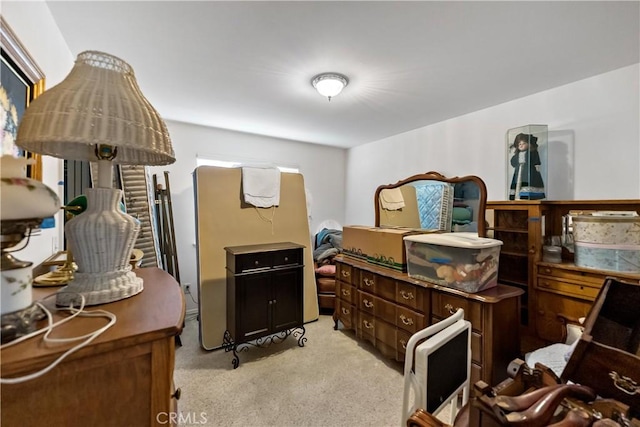 miscellaneous room featuring light colored carpet