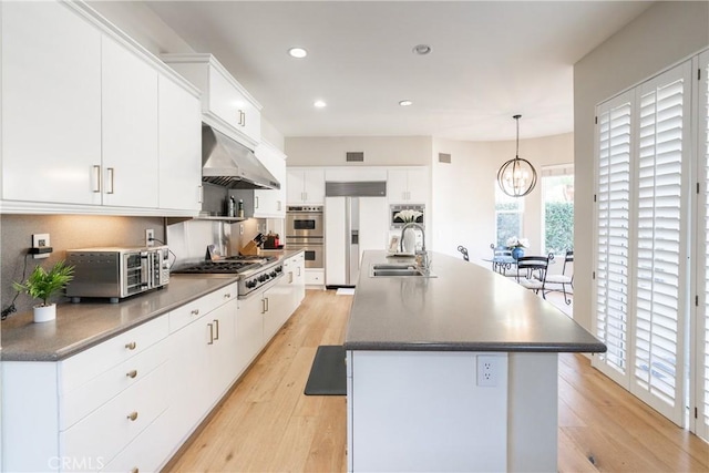 kitchen with a sink, light wood finished floors, appliances with stainless steel finishes, under cabinet range hood, and recessed lighting