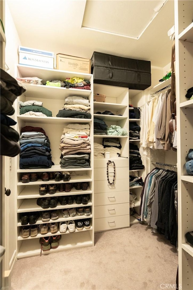 spacious closet with carpet