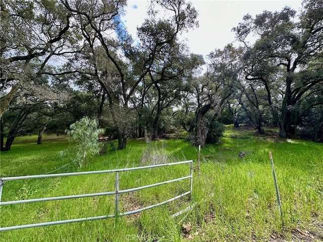 Listing photo 3 for 19334 Live Oak Cyn, Trabuco Canyon CA 92679