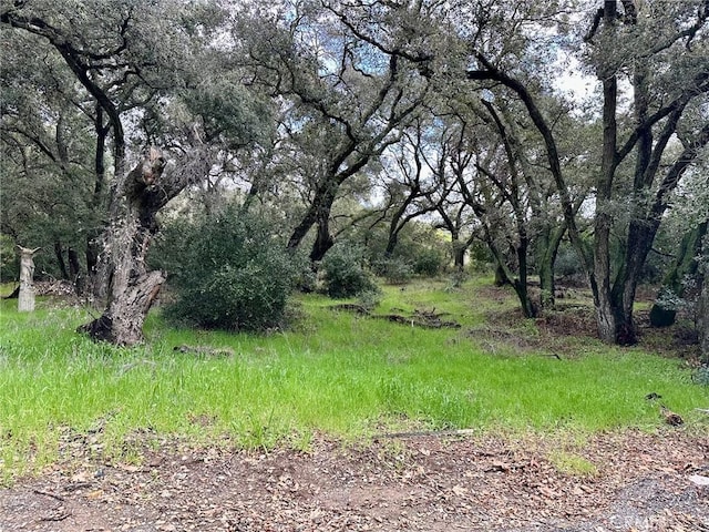 19334 Live Oak Cyn, Trabuco Canyon, CA 92679 - photo 4