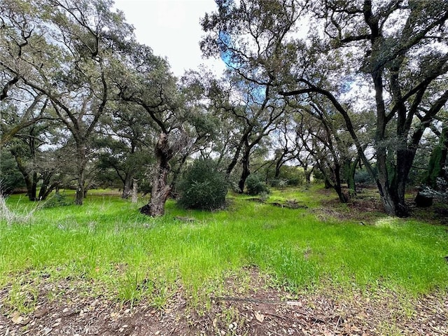 19334 Live Oak Cyn, Trabuco Canyon, CA 92679 - photo 6