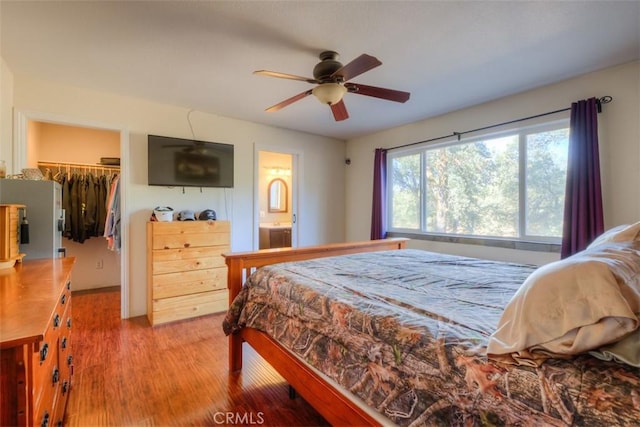 bedroom featuring a walk in closet, a closet, light wood-style flooring, a ceiling fan, and ensuite bath