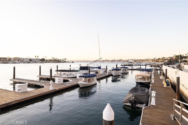 dock area with a water view