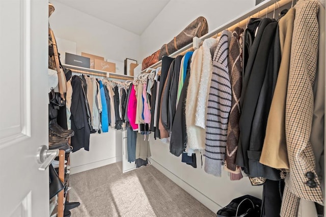 walk in closet with carpet floors