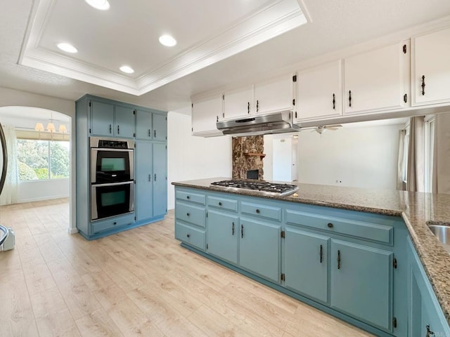 kitchen with stainless steel appliances, a tray ceiling, white cabinets, and under cabinet range hood