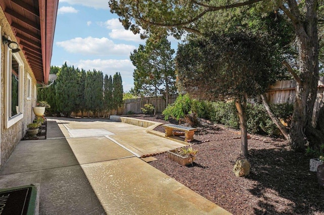 view of yard with a patio area and a fenced backyard