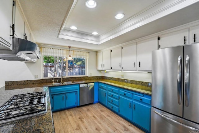 kitchen with blue cabinets, stainless steel appliances, white cabinets, a tray ceiling, and dark stone countertops