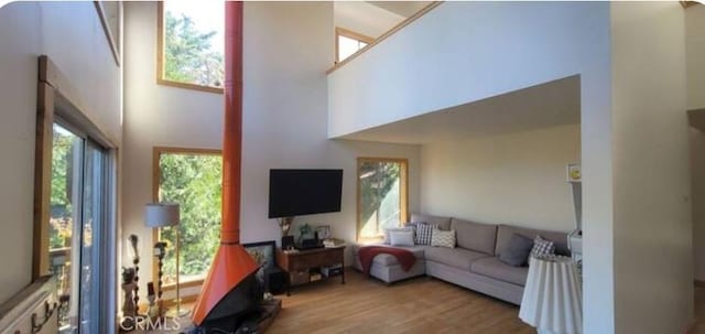 living area featuring a towering ceiling and wood finished floors