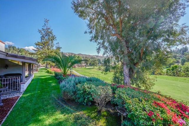 712 Via Zapata, Riverside, CA 92507 - view of green lawn