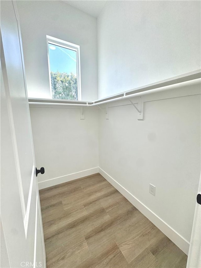 walk in closet featuring wood finished floors