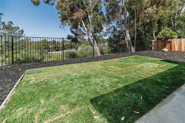 7969 Calle Madrid, Carlsbad, CA 92009 - view of yard