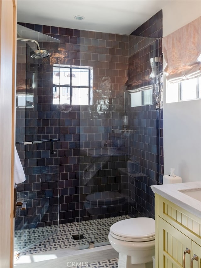 bathroom featuring a shower stall, vanity, and toilet