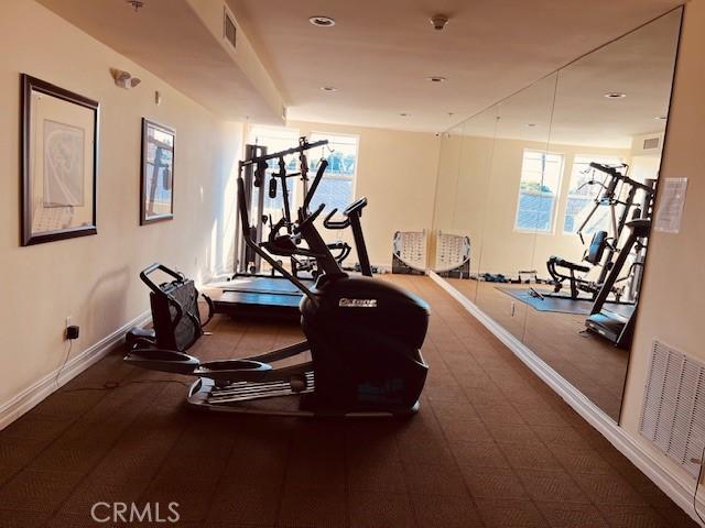 14242 Burbank Blvd Unit 103, Sherman Oaks, CA 91401 - gym with plenty of natural light