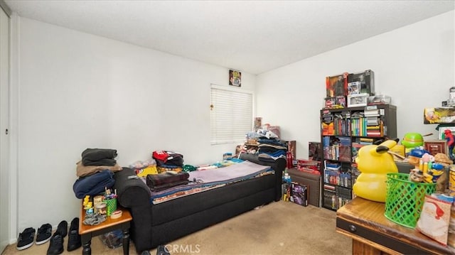 bedroom with carpet floors