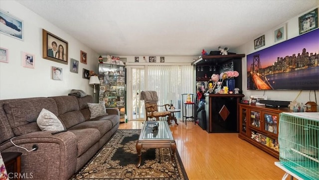 living room featuring wood finished floors