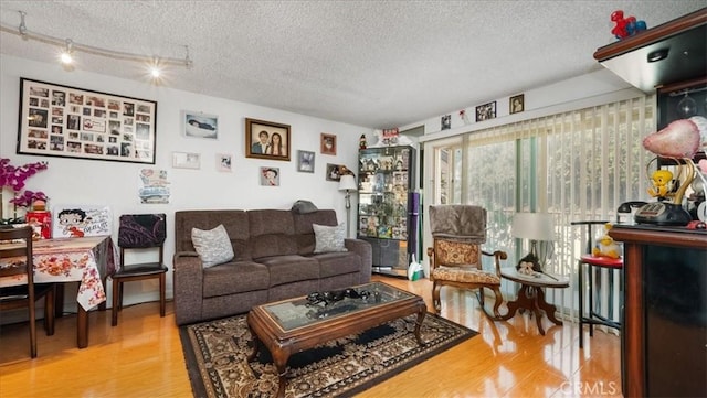 living area with a textured ceiling and wood finished floors