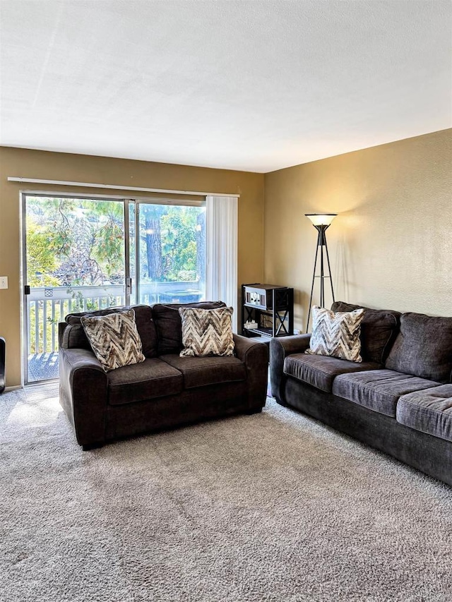 living area featuring carpet flooring and a textured ceiling