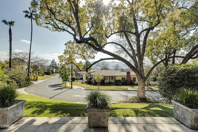 surrounding community with a residential view and a yard