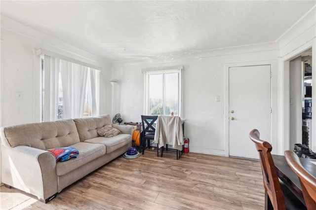 living area featuring light wood finished floors