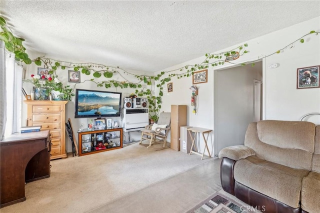 living area with carpet floors and a textured ceiling