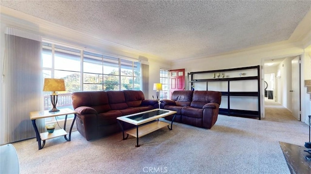 living room with light carpet, ornamental molding, and a textured ceiling