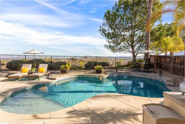 view of pool featuring a patio area, a fenced backyard, and a fenced in pool