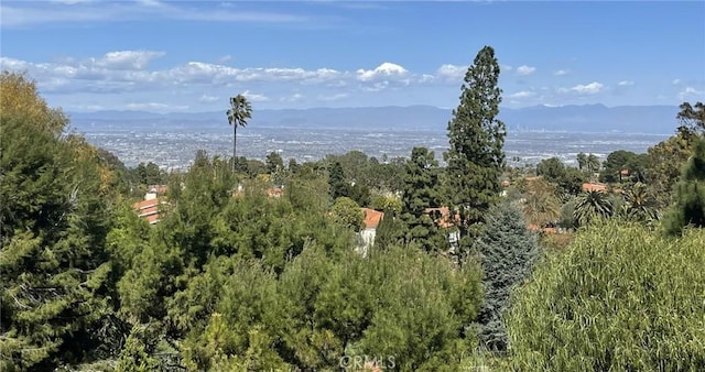 2229 Via Cerritos, Palos Verdes Estates, CA 90274 - view of mountain feature with a view of trees