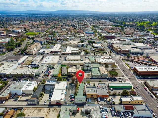 bird's eye view