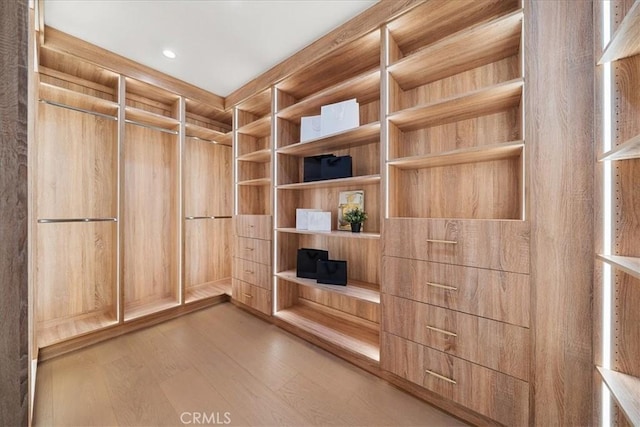 spacious closet featuring wood finished floors